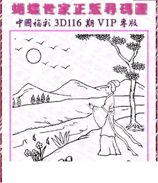 25116期: 3D蝴蝶世家蝴蝶彩图