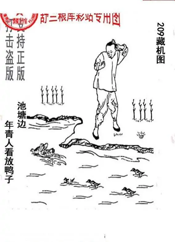 25209期: 老村长福彩3D天天图谜