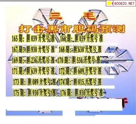 25176期: 三毛3D精品图谜