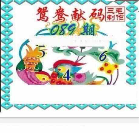 24089期: 三毛3D精品图谜