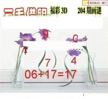 25204期: 三毛3D精品图谜