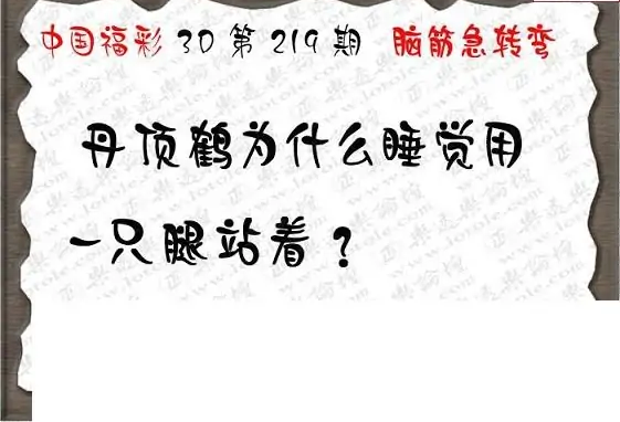 25219期: 3D蝴蝶世家蝴蝶彩图