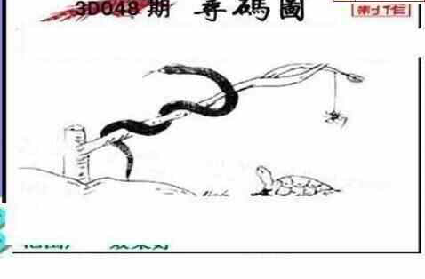 25048期: 三毛3D精品图谜