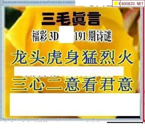 25191期: 三毛3D精品图谜
