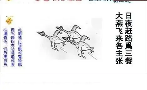 25303期: 白老3D杀码图版