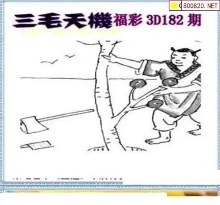 25182期: 三毛3D精品图谜
