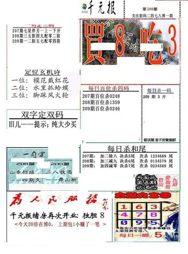 25209期: 福彩3D全套图版参考