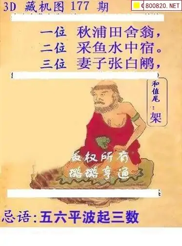 25177期: 白老3D杀码图版