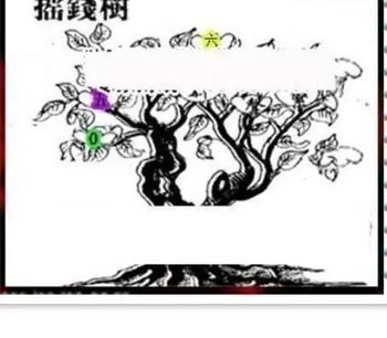 26091期: 三毛3D精品图谜