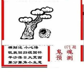 26071期: 三毛3D精品图谜