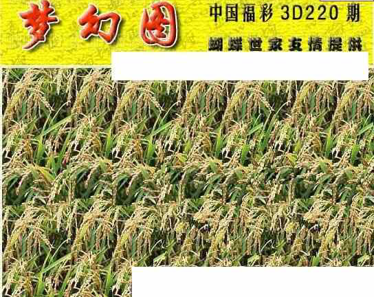 24220期: 3D蝴蝶世家蝴蝶彩图