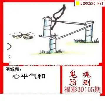 25155期: 白老3D杀码图版