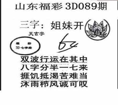 24089期: 三毛3D精品图谜