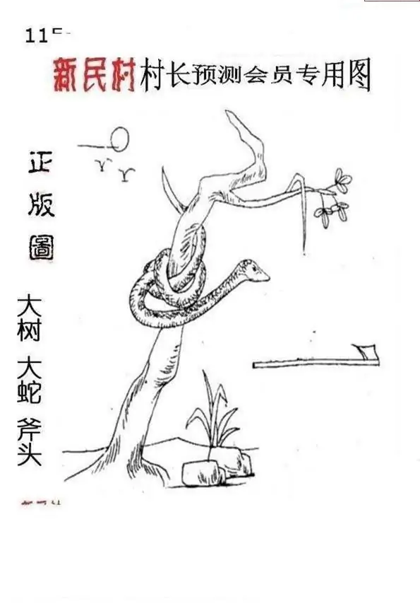 25115期: 老村长福彩3D天天图谜