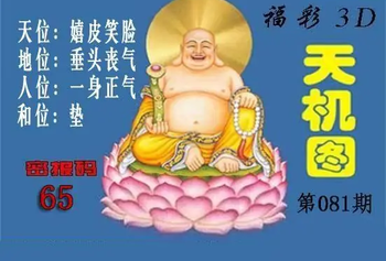 3D081期：北盟天机图迷