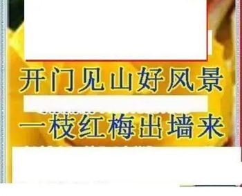 26081期: 三毛3D精品图谜