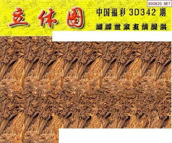 25342期: 3D蝴蝶世家蝴蝶彩图