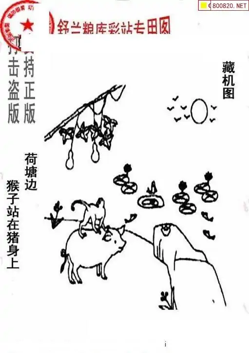 25198期: 老村长福彩3D天天图谜