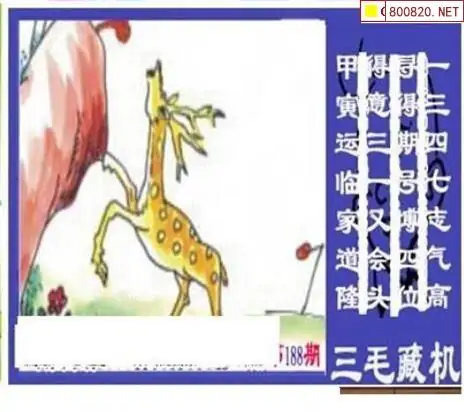 25188期: 三毛3D精品图谜