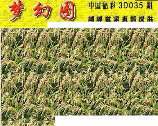 25035��: 3D�������Һ�����ͼ