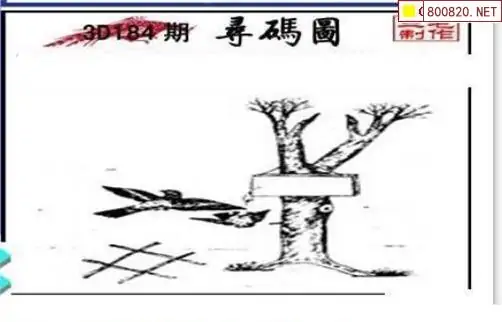 25184期: 三毛3D精品图谜