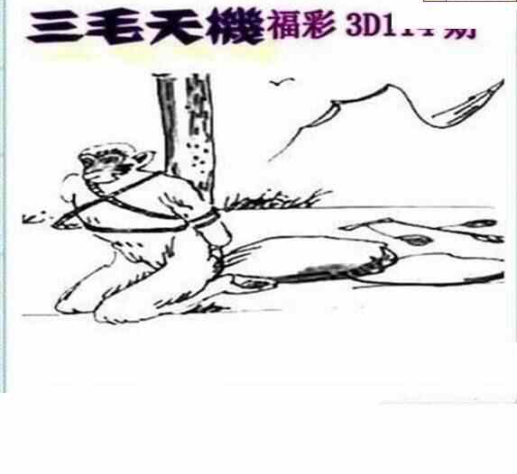24114期: 三毛3D精品图谜
