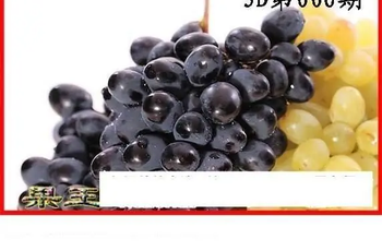 26006期: 白老3D杀码图版