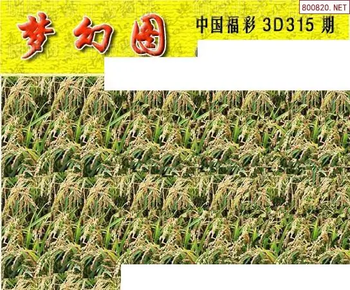 25315期: 3D蝴蝶世家蝴蝶彩图