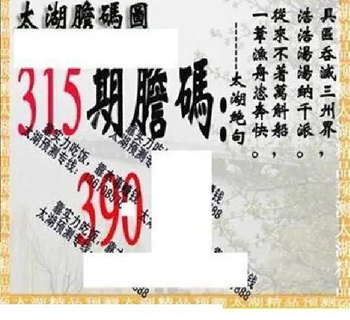 25315期: 太湖图福彩3D精品预测