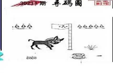 25211期: 三毛3D精品图谜
