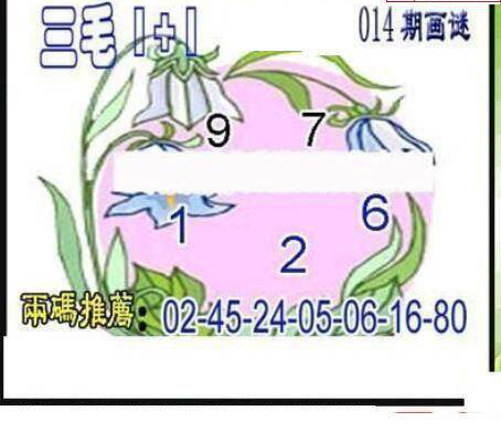 25014期: 三毛3D精品图谜