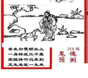 25314期: 三毛3D精品图谜