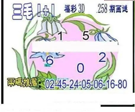 25258期: 三毛3D精品图谜