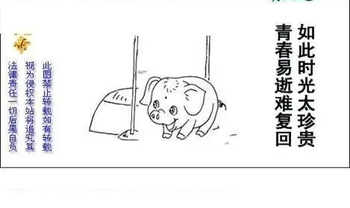 26025期: 白老3D杀码图版