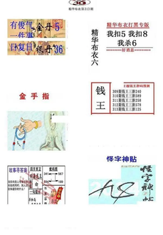 25313期: 福彩3D全套图版参考