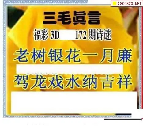 25172期: 三毛3D精品图谜