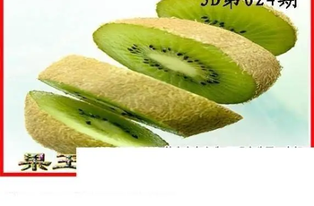 26024期: 白老3D杀码图版