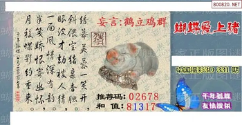 25331期: 3D蝴蝶世家蝴蝶彩图