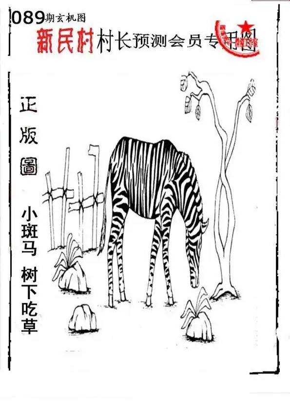 25089期: 老村长福彩3D天天图谜