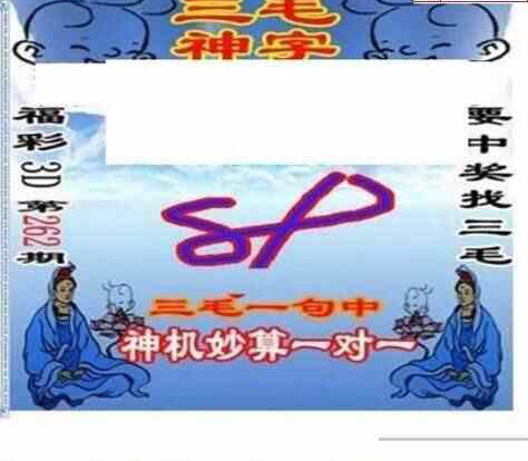 24262期: 三毛3D精品图谜