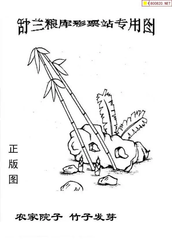 25189期: 老村长福彩3D天天图谜