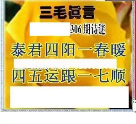 25306期: 三毛3D精品图谜