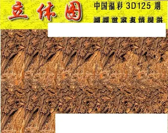 25125��: 3D�������Һ�����ͼ