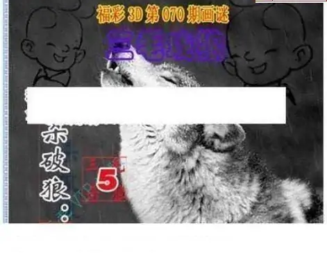 25070期: 三毛3D精品图谜