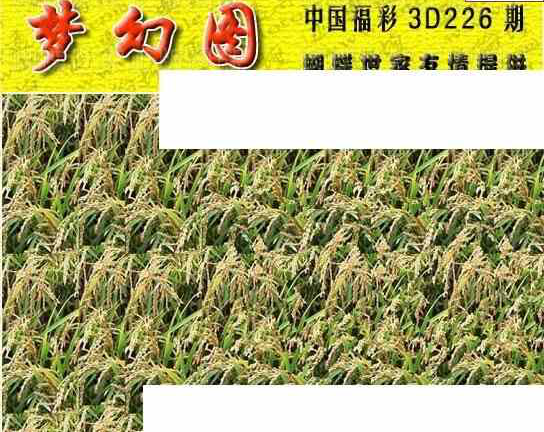 24226期: 3D蝴蝶世家蝴蝶彩图