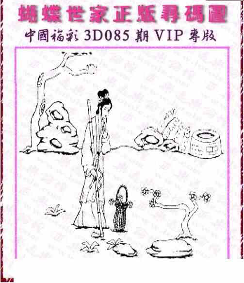 24085期: 3D蝴蝶世家蝴蝶彩图