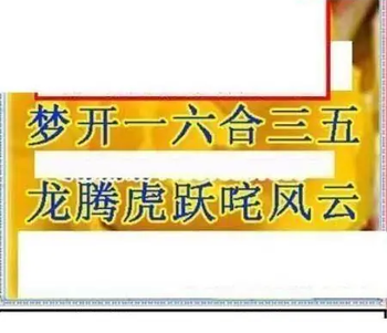 26084期: 三毛3D精品图谜