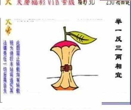 24250期: 三毛3D精品图谜