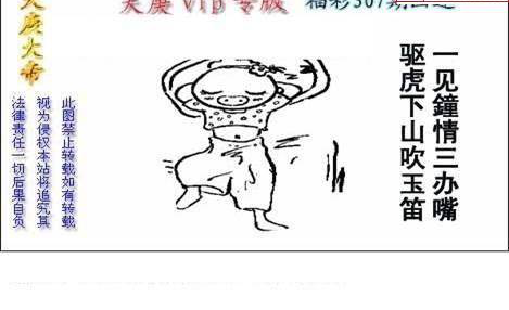 24307期: 白老3D杀码图版