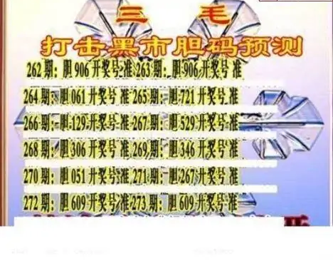 25273期: 三毛3D精品图谜